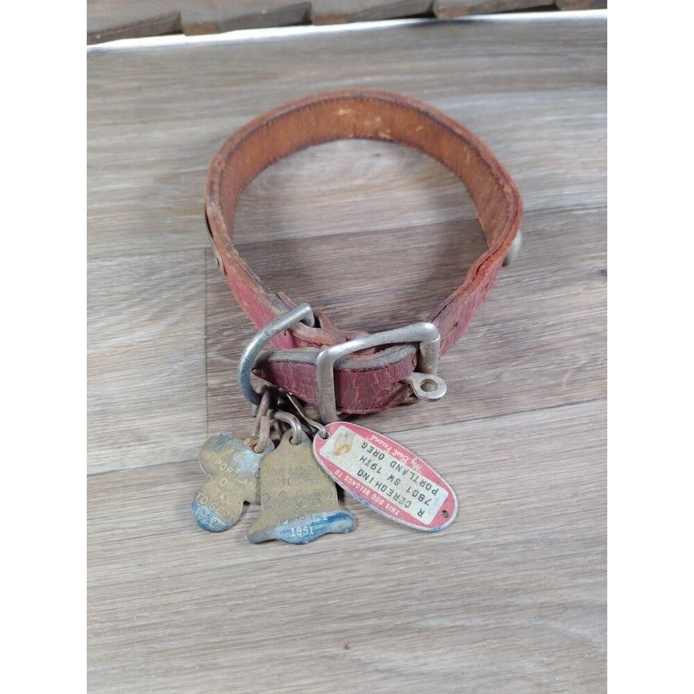 Vintage Leather  Studded Dog Collar Tags Licenses Portland OR 1951